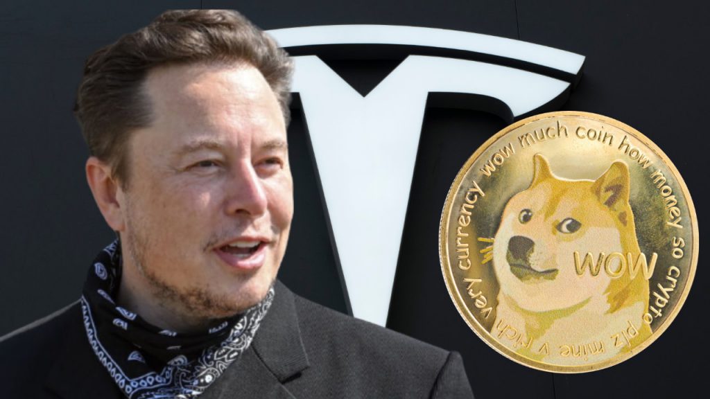 tesla doge