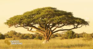 wisdomtree 768x403 1