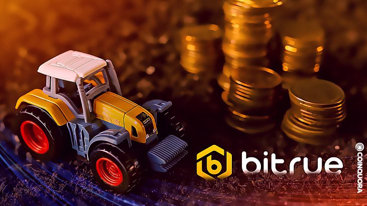 Bitrue to Launch New Yield Farming Hub Soon, Offers Over 150% APY 1