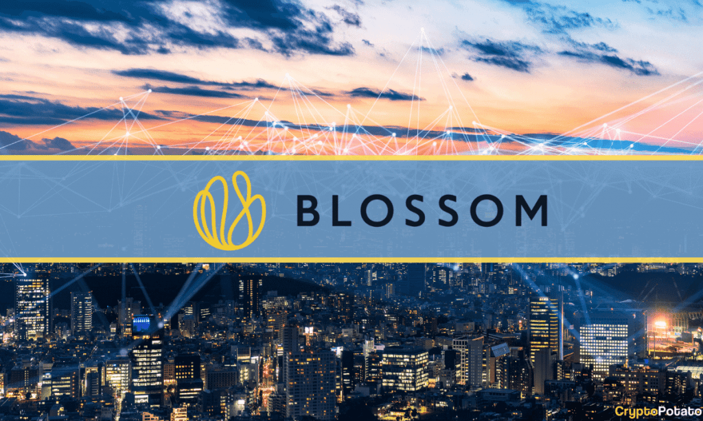 Blossom Capital