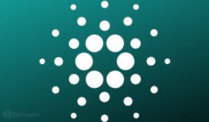 Cardano Large Holders Double ADA Holdings Within Days As Prospects Of Rapid Price Increase Mounts