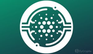 Cardano Proves To Be The Crypto To Watch In 2022 As Transaction Volume Skyrockets
