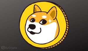 How Elon Musks Starlink Could Make Dogecoin Unstoppable
