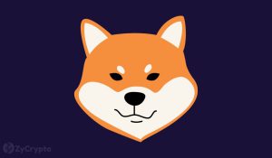 It Was Scary And Fun Ethereums Vitalik Recounts How He Dumped Nearly 7 Billion Worth Of Shiba Inu Tokens