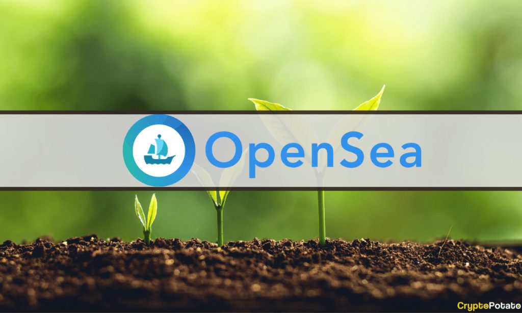 Open Sea Growth