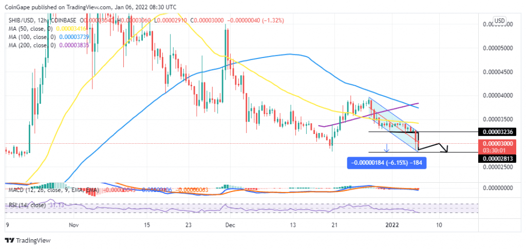 Shiba Inu Price Prediction: SHIB Could Drop 6% Further To $0.00002813 1 SHIBUSD 2022 01 06 11 30 00