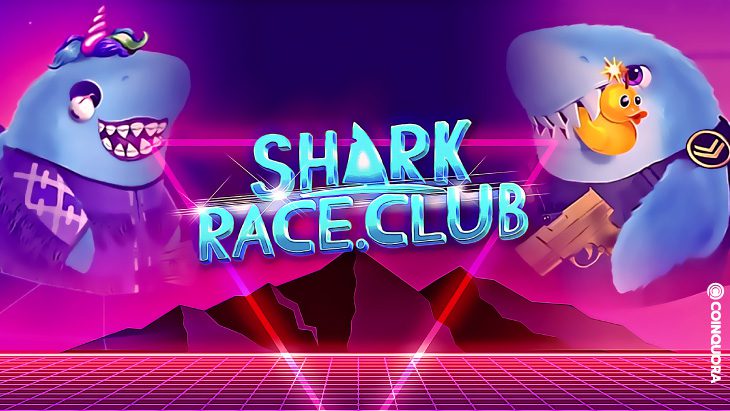 SharkRace Club