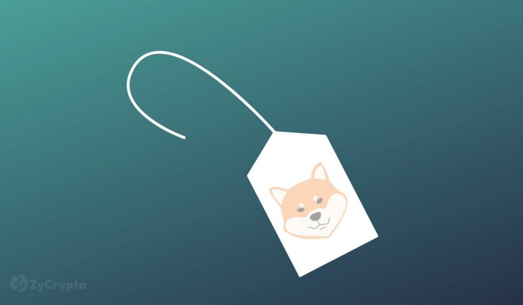 Shiba Inu Wants To Lose The Meme Coin Tag With The Launch Of Shibarium As Adoption Rate Wobbles 1