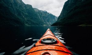 benjamin davies mqN EV9rNlY unsplash 1000x600 1