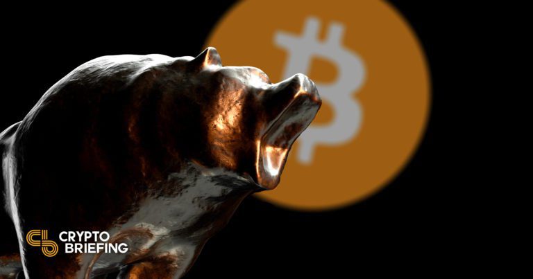 bitcoin bear cover 768x403 1