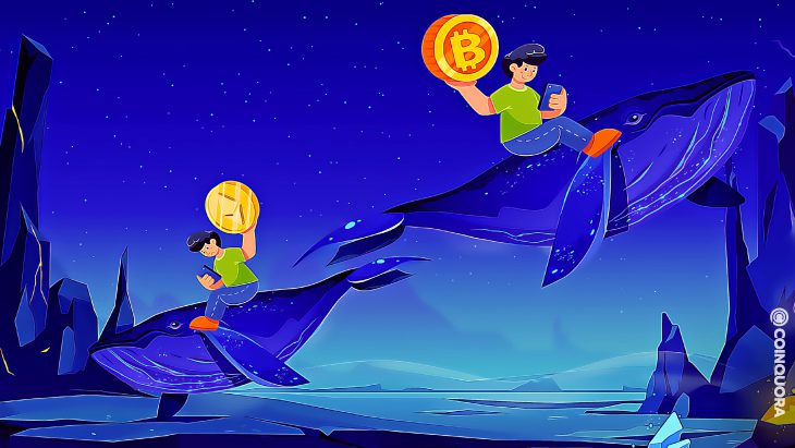 According to Kraken BTC whales are taking advantage of weakness