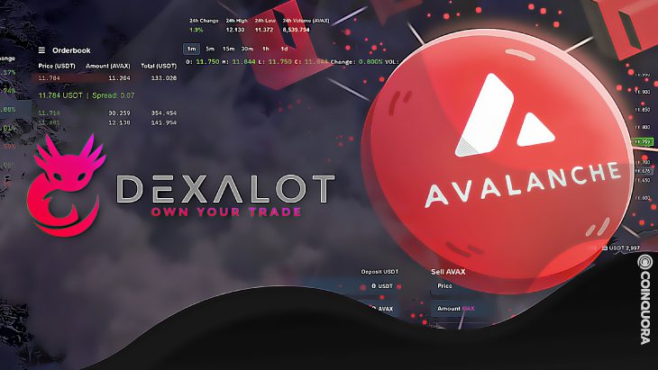 Avalanche Blizzard Fund Leads 7M Investment for DEX Startup