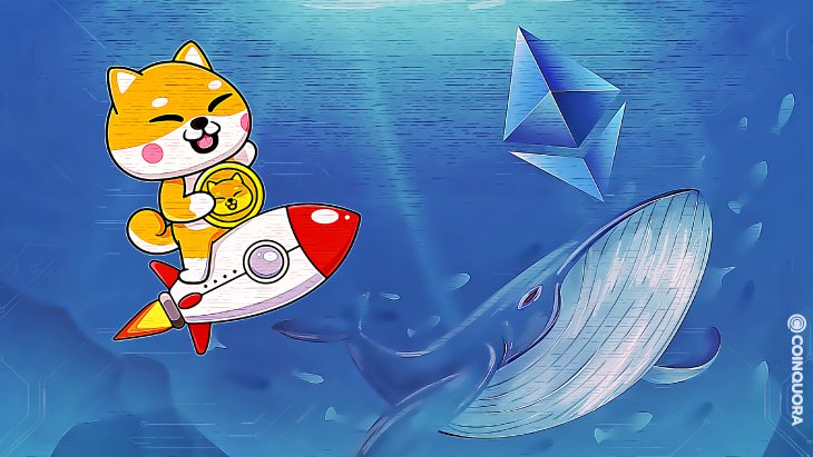 Top 1000 ETH Whales Hold Over $2B Worth of Shiba Inu 1 BREAKING Value of SHIB Shibtoken held by the top 1000 ETH whales