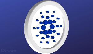Cardano Ousts Bitcoin Ethereum To Become Network With The Most Transaction Activity