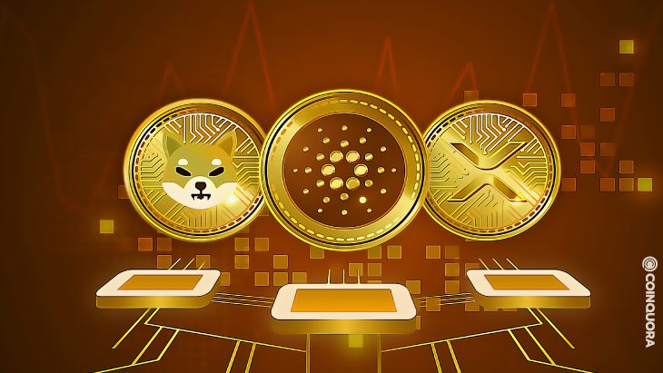 Cardano XRP Shiba Inu Price Analysis 04 February