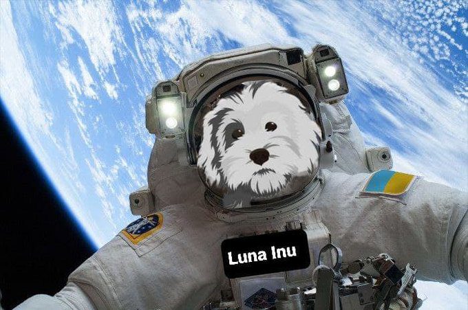 Dogecoin and Shiba Inu knockoff Jeff Bezos pet inspired Luna Inu surges by 70