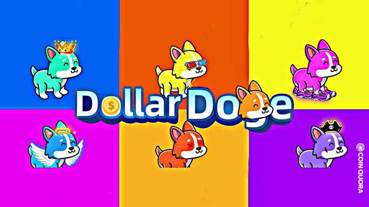 DollarDoge Announces Token Pre sale Aims To Take NFT Industry To New Direction 1