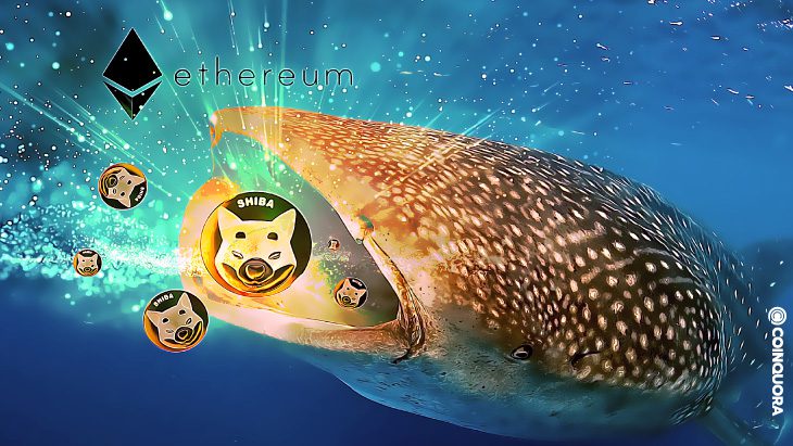 ETH whale Light just bought 49998916299 shib 1211473 USD