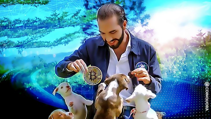 El Salvadors bitcoin funded vet hospital inaugurated