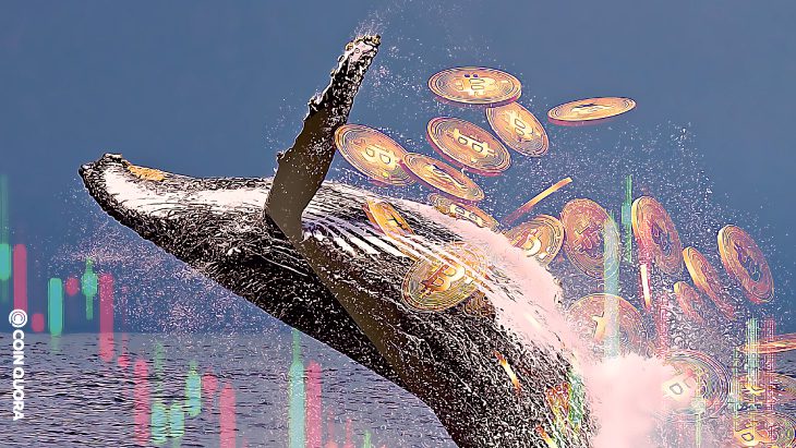 Whales scooped up 5 5B in Bitcoin as BTC price dropped below 36K