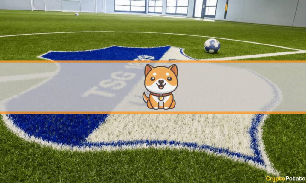 babydogecoin Hoffenheim