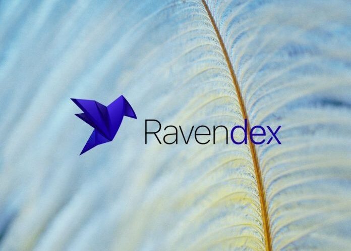 ravendex rave surges market is bearish