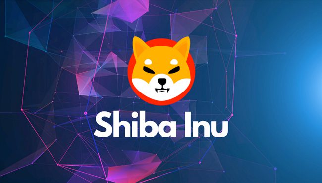 shiba inu coin