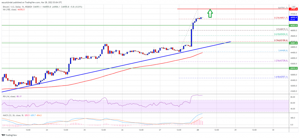 Bitcoin 20