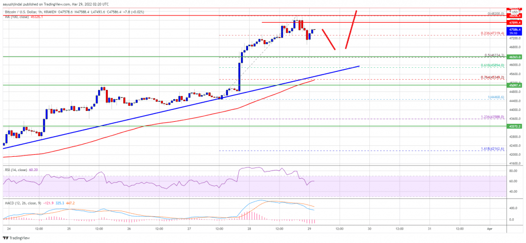 Bitcoin 21