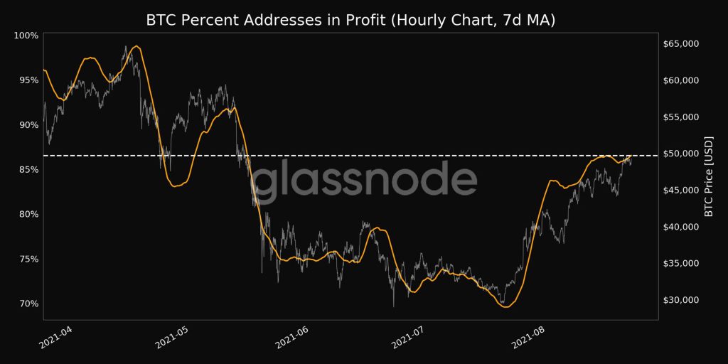 Bitcoin BTC Addresses in Profit