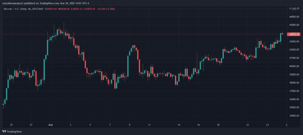 Bitcoin BTC BTCUSD 9 980x439 1