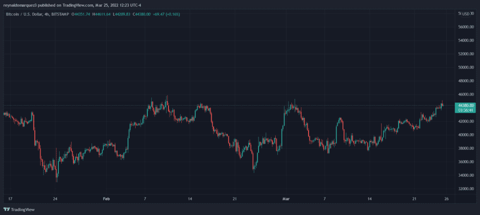 Bitcoin BTC BTCUSD Crypto 1 980x439 1