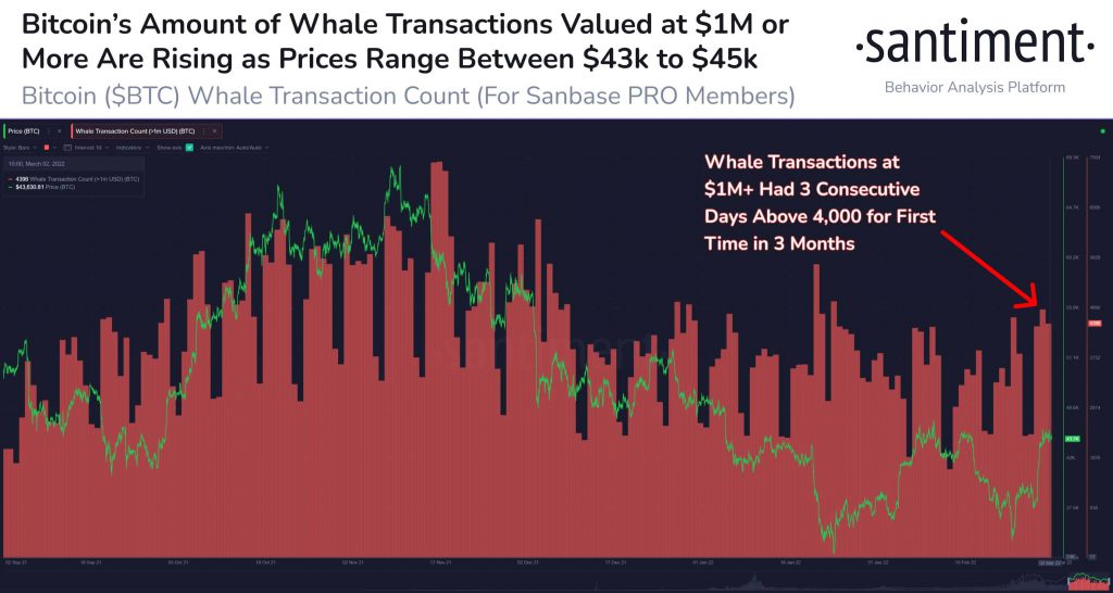 Bitcoin BTC Whale Transactions