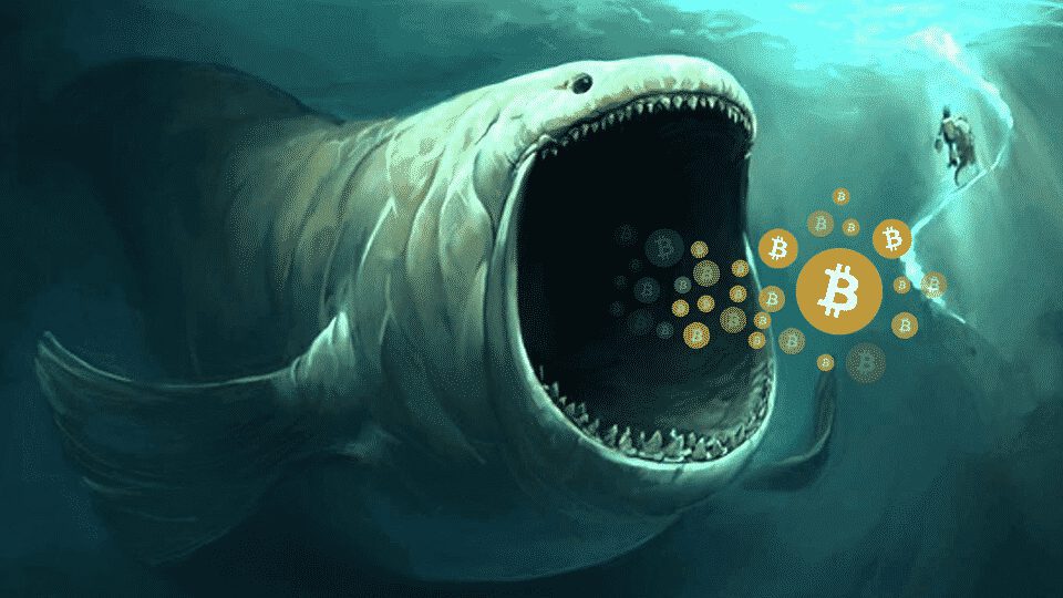 Bitcoin whales sell off