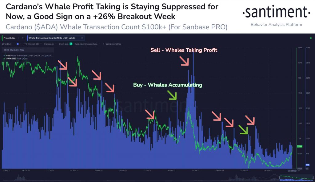 Cardano ADA Whale Transactions