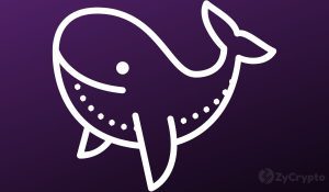 More Ethereum Whales Joined The Network Despite Recent Price Crash Data Shows