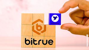 Ravendex Lists on Bitrue Trading volume surges to 200 million tokens