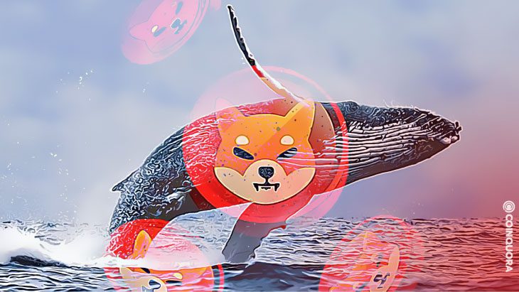 ETH Whales Mass Adopt SHIB Tokens, Eyes Smashing DOGE Soon 1 Two ETH Whales Accumulates Whopping 885 27 Billion Shiba Inu Tokens