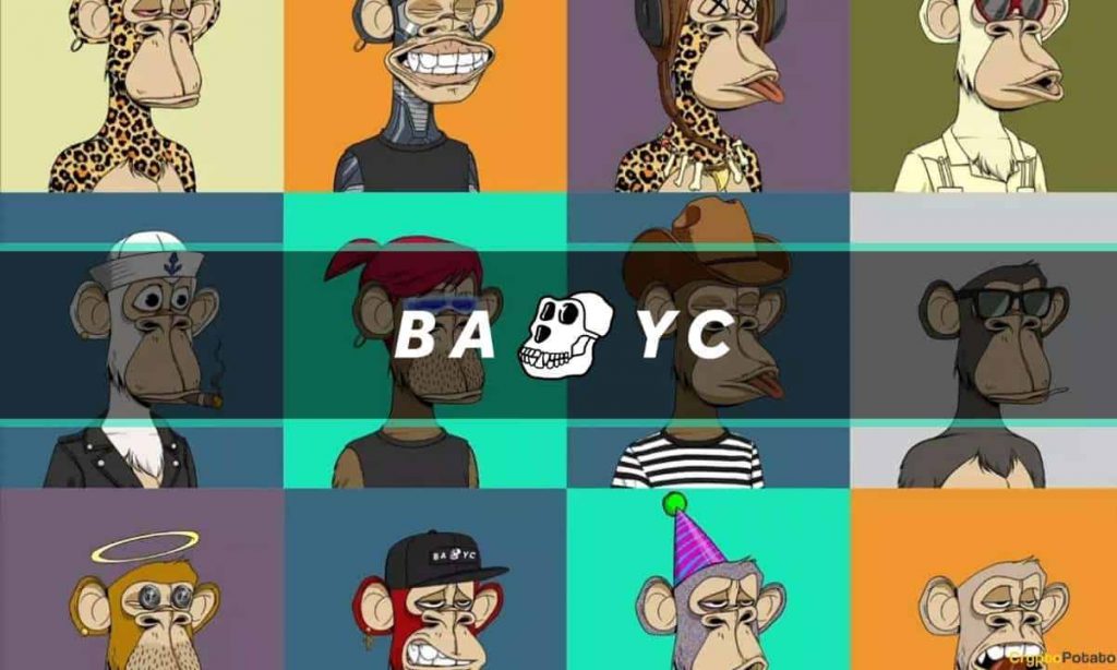 bayc cover