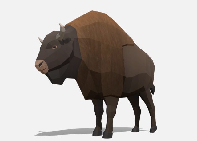 bison