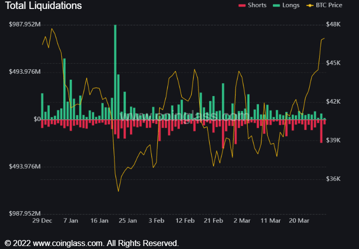 bybt chart 2