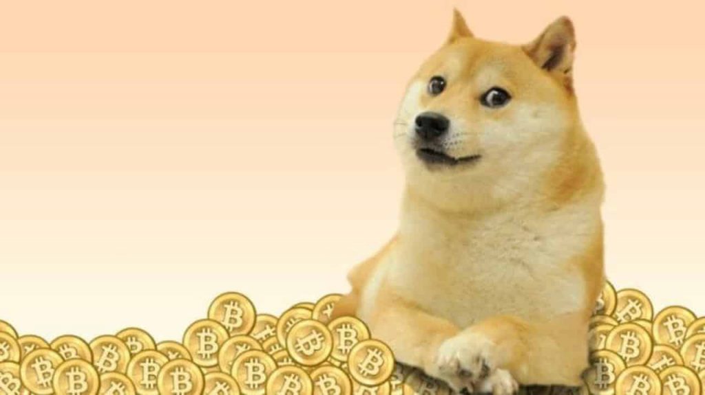 dogecoin doge price on leap as