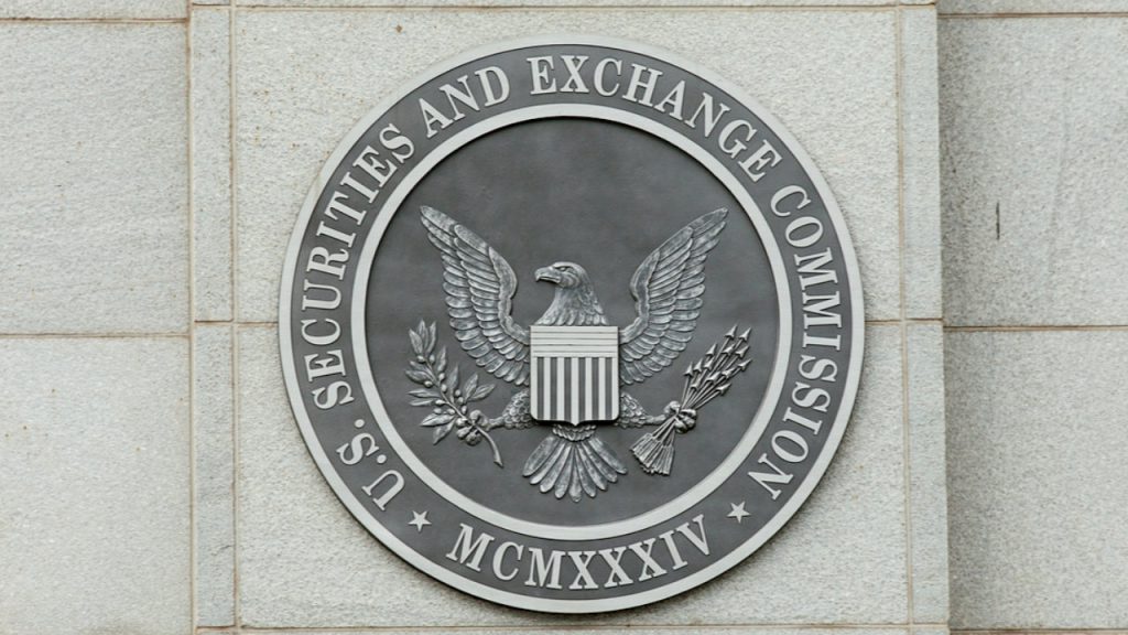 sec amnesty