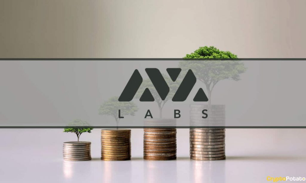 AVA Labs