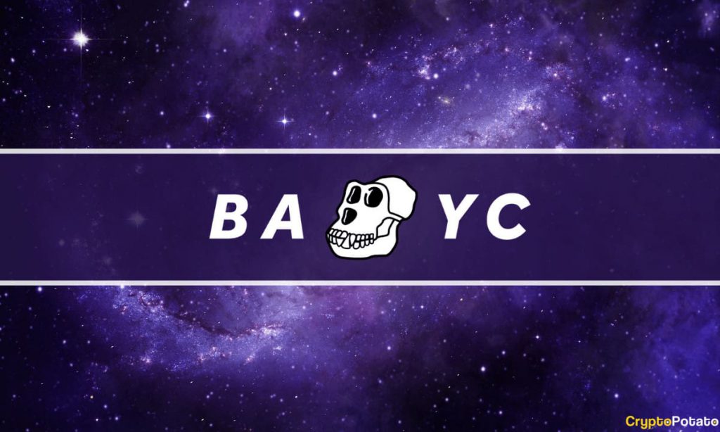 BAYC