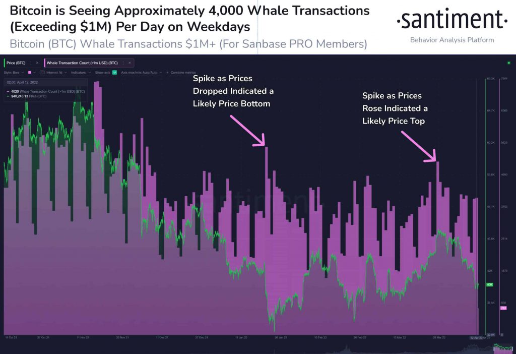 BTC whale