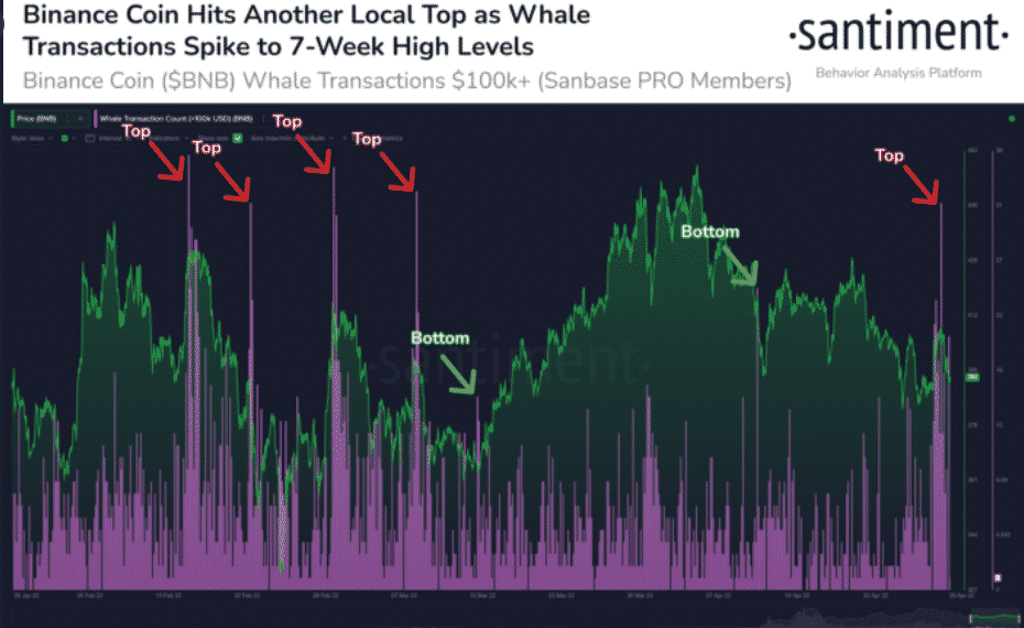 Binance Coin BNB Whale Transactions