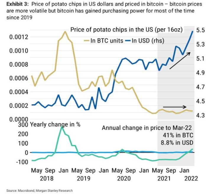 Bitcoin BTC BTCUSD potato 731x660 1