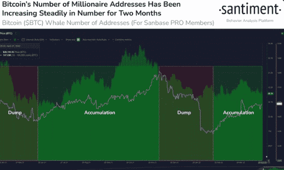 Bitcoin BTC Whale Addresses