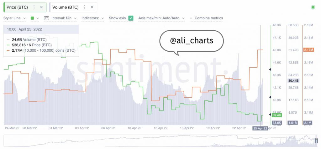 Bitcoin BTC Whales